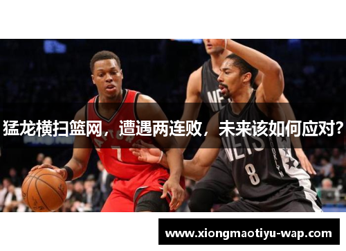 猛龙横扫篮网，遭遇两连败，未来该如何应对？