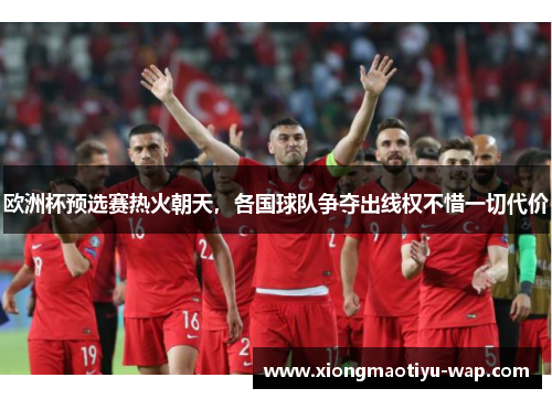 欧洲杯预选赛热火朝天，各国球队争夺出线权不惜一切代价