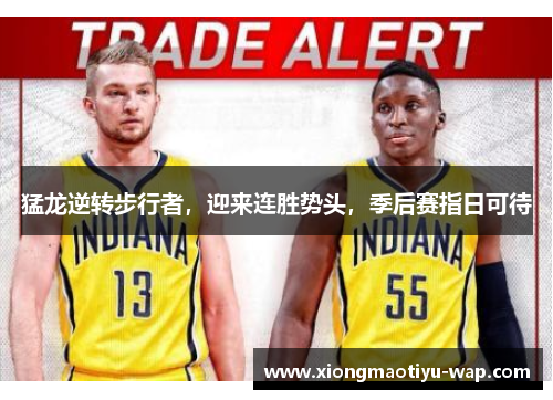 猛龙逆转步行者，迎来连胜势头，季后赛指日可待