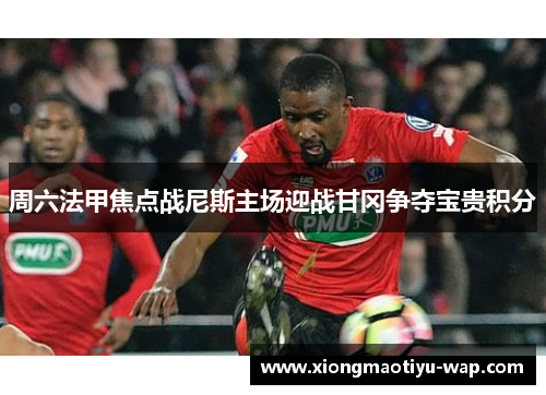 周六法甲焦点战尼斯主场迎战甘冈争夺宝贵积分