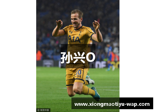 孙兴O