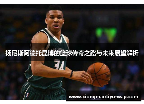 扬尼斯阿德托昆博的篮球传奇之路与未来展望解析